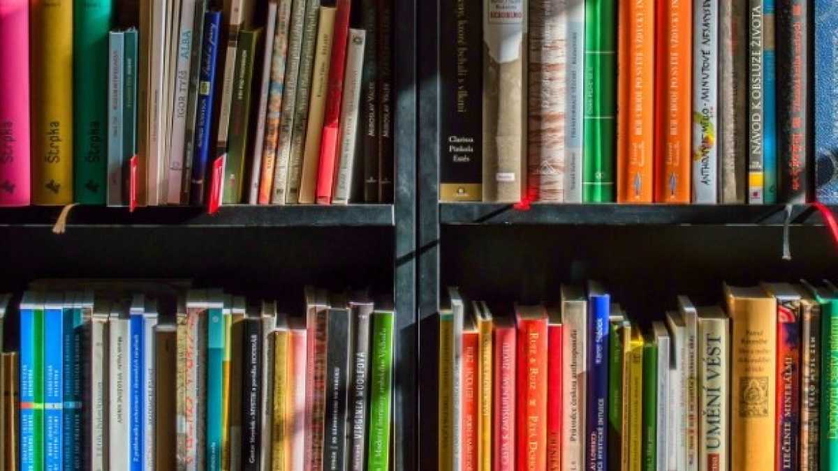 Immagine di I libri sui libri sono diventati cupio dissolvi e poco più. Sorokin incluso