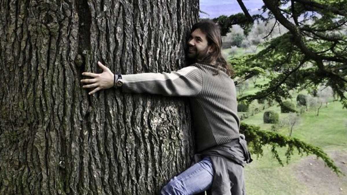 Immagine di Aste di beneficenza con premio aggiunto e progetti innovativi per monitorare la salute dei boschi