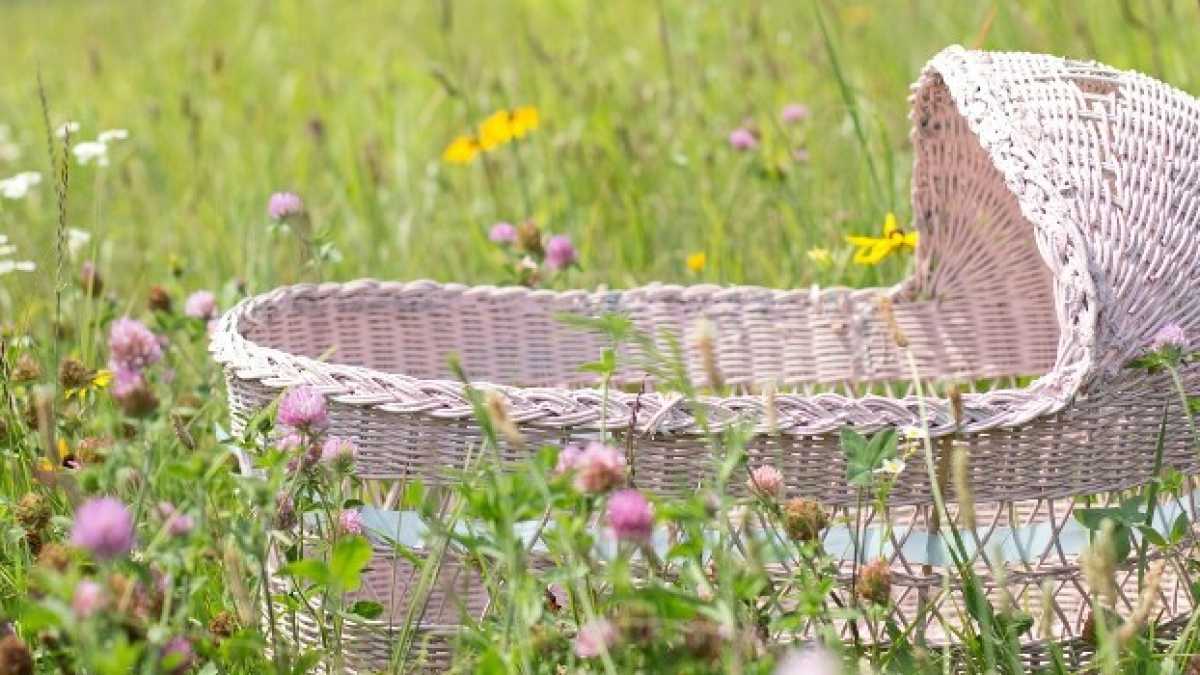 Immagine di Pochi bimbi, tanti debiti, meno crescita