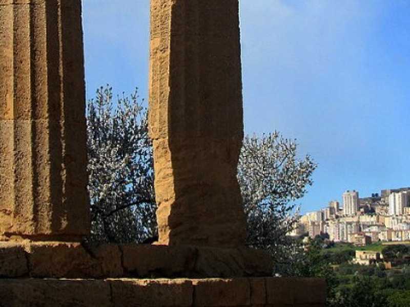 Foto tratta da Wikipedia