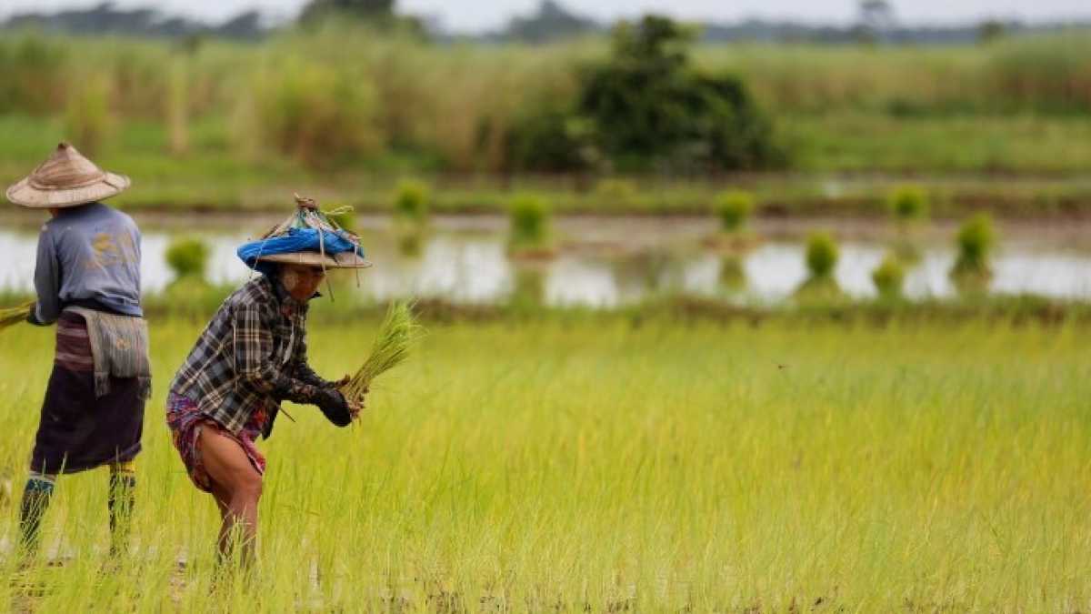 Immagine di Quant’è difficile il libero commercio nell’èra sovranista. Storie asiatiche