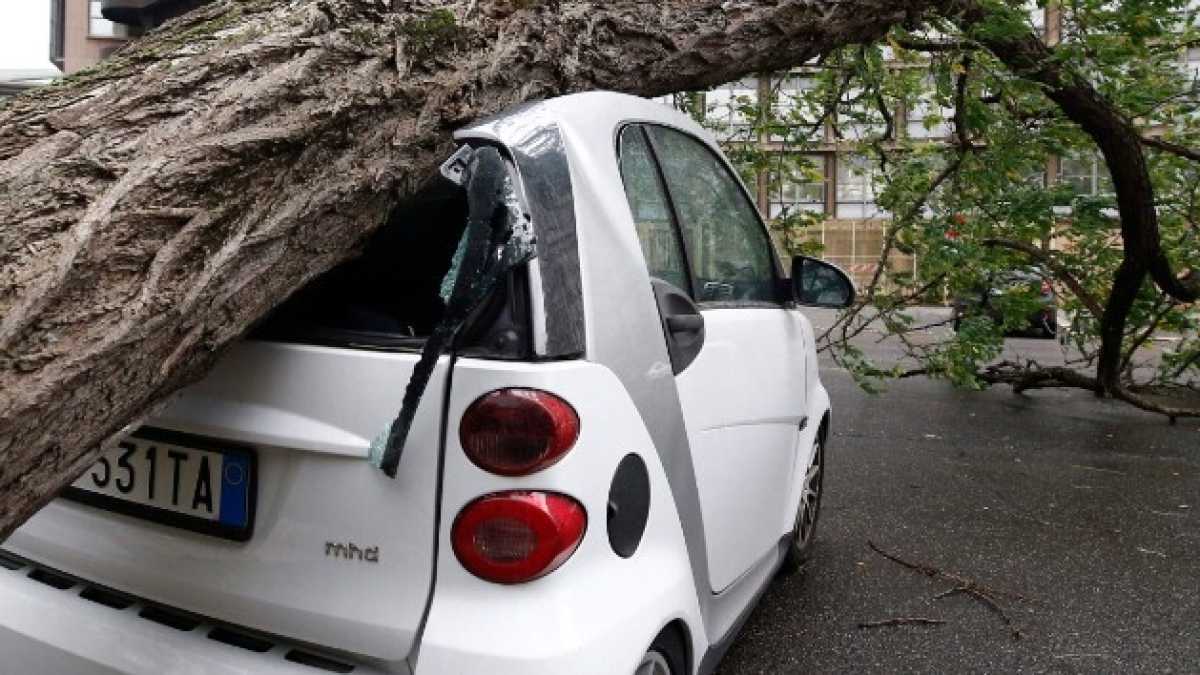 Immagine di Il maltempo in Italia e il futuro della Cdu. Di cosa parlare stasera a cenaCosa diceva Raggi sugli alberi caduti
