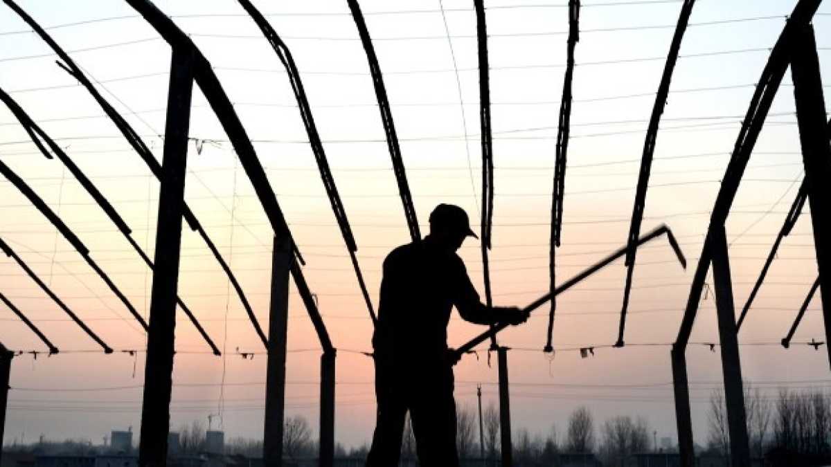 Immagine di Podere al popolo