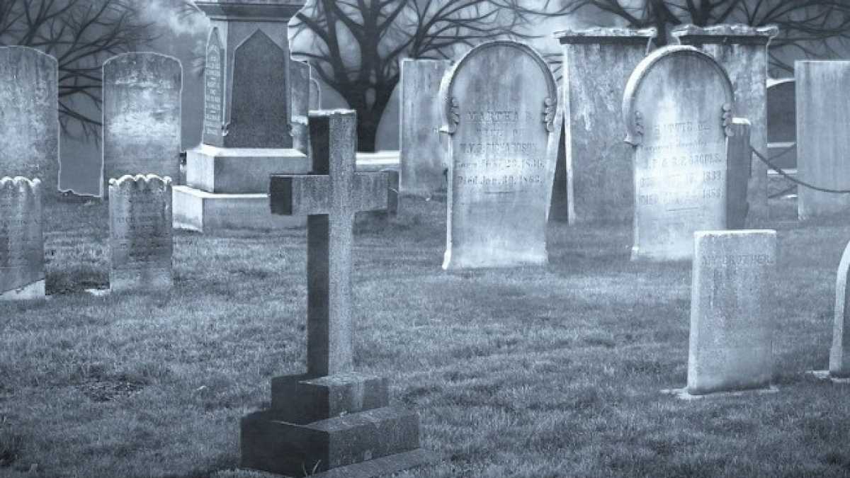 Immagine di Chi dimentica i morti verrà dimenticato dai morti