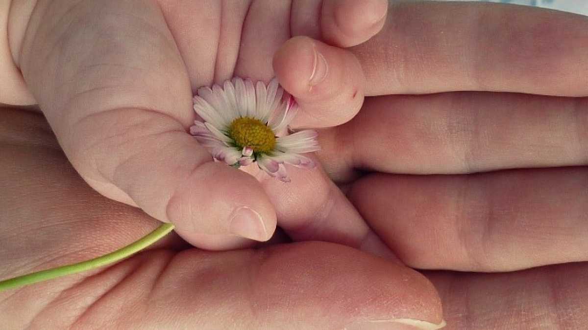 Immagine di MAMMAMIA!