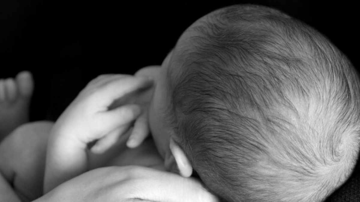 Immagine di Con i papà al lavoro nasceranno più figli