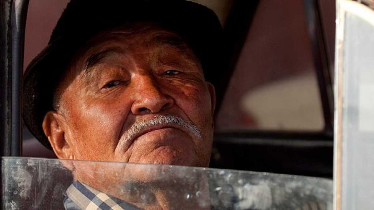 Immagine di Con la demografia al volante