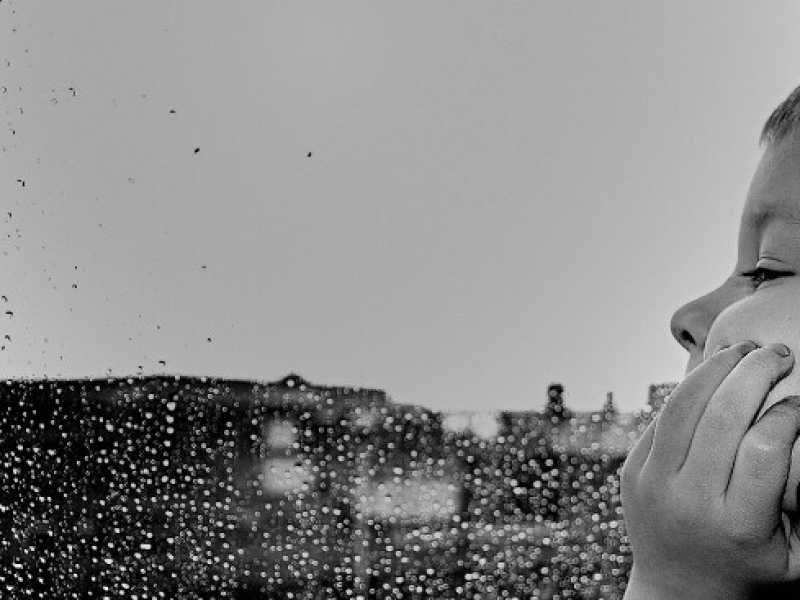 Foto Pixabay