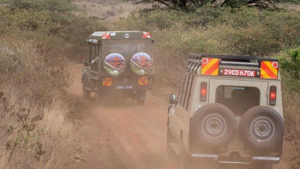 Immagine di Guida allo zoo safari di Nairobi (per quando il turismo diventerà illegale)