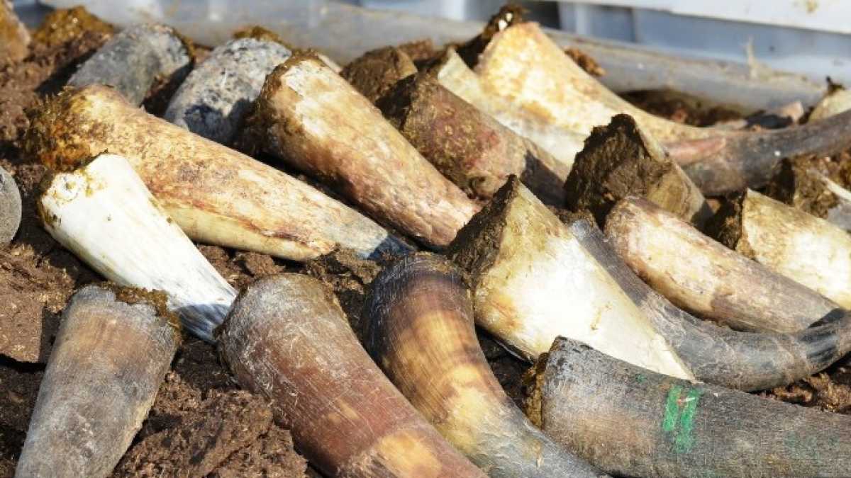 Immagine di Più di centotrenta studiosi contro le pseudoscienze al Politecnico