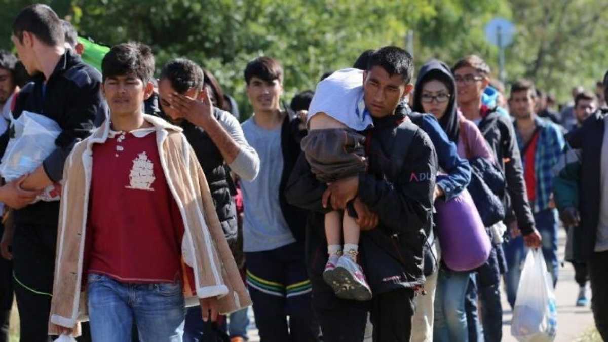 Immagine di I rifugiati da reality fan discutere la Polonia alle prese con le “invasioni”
