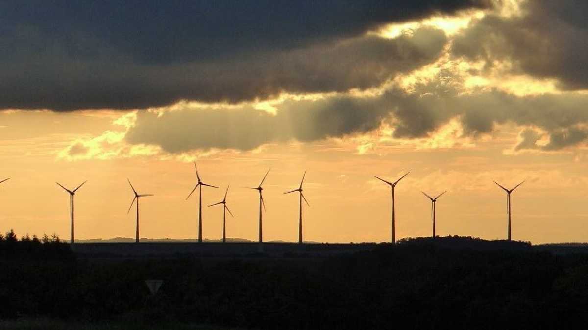 Immagine di Gli eccessi dell’ideologia green