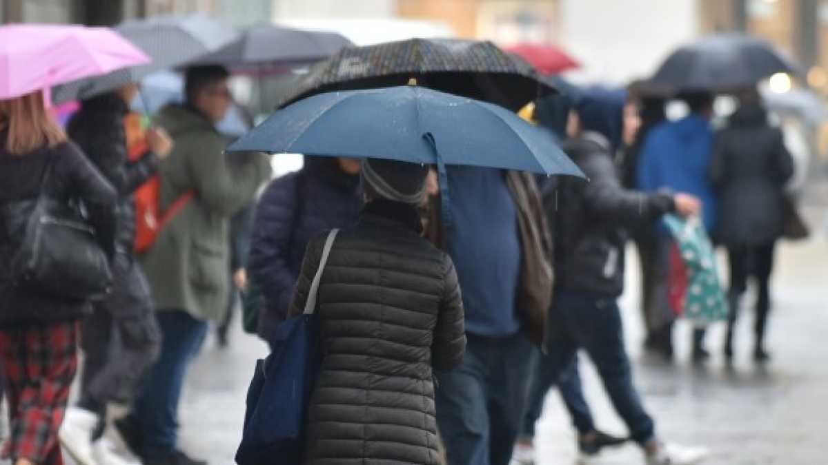 Immagine di Deriso da un negher. Così va il mondo