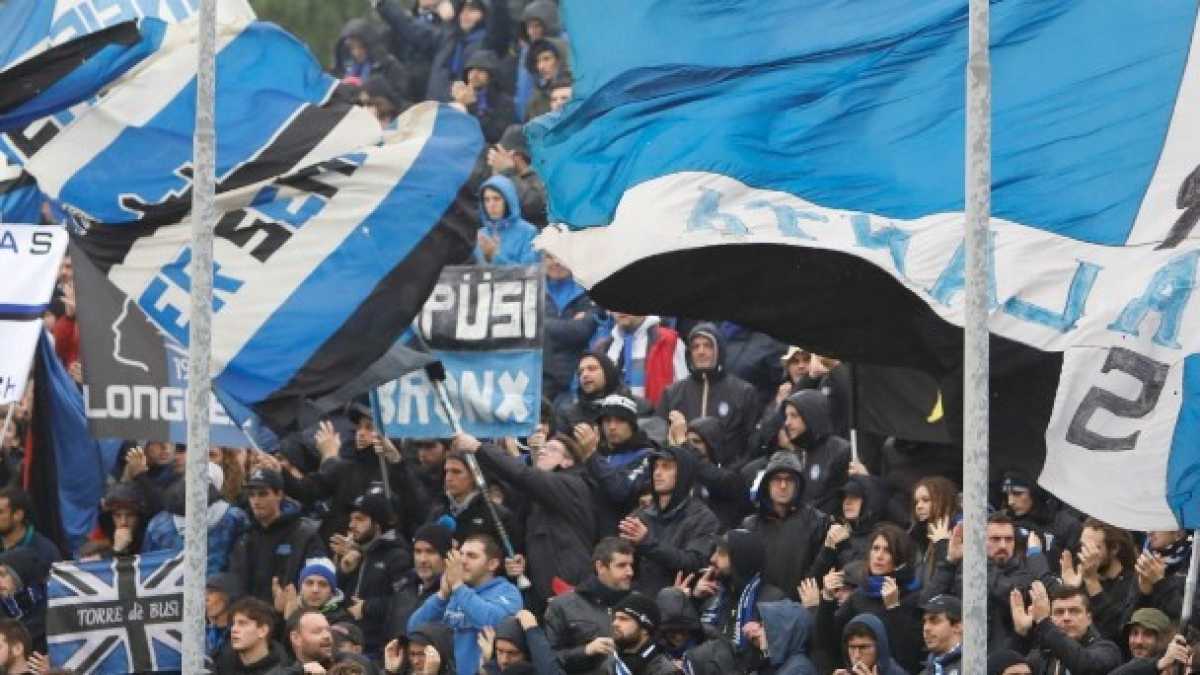 Immagine di Bergamasco pagaci le tasse