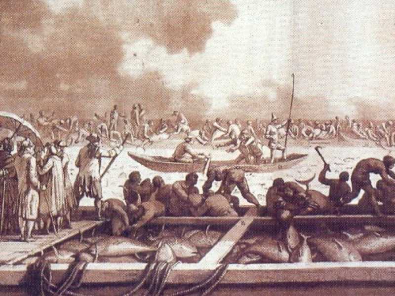 La mattanza in Sicilia, in un'acquaforte del 1782 di Jean-Pierre Hou&euml;l