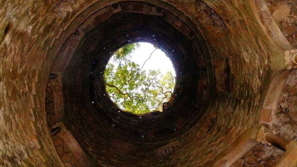 Immagine di Il populismo dichiarato