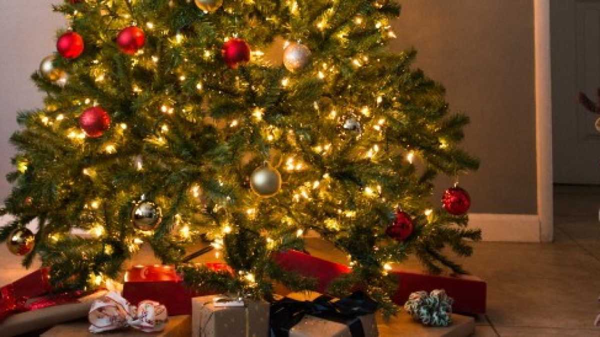 Immagine di I cataclismi di Natale, i veterinari in vacanza e la tavola imbandita