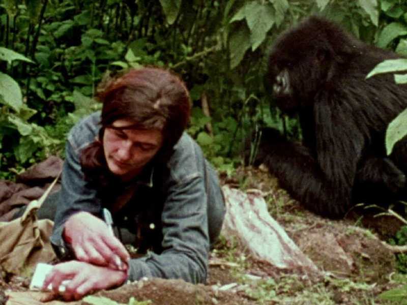 Un momento di un documentario di National Geographic su Youtube