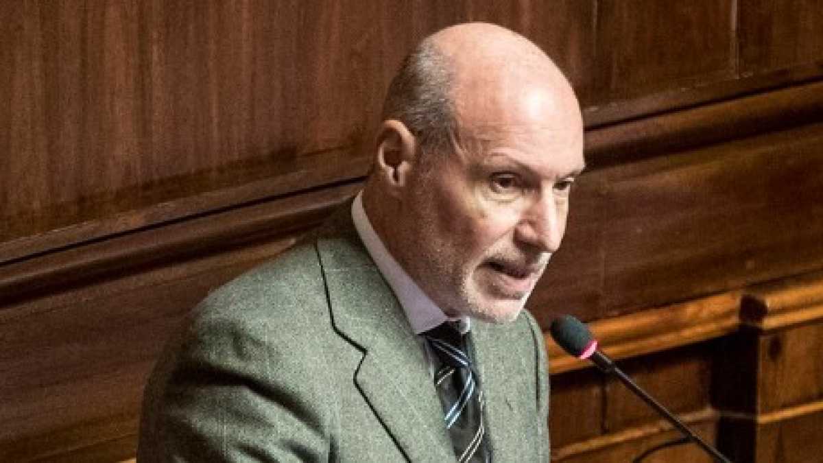 Immagine di Fare ricorso contro il M5s? Il modello De Falco è un facsimile perfetto