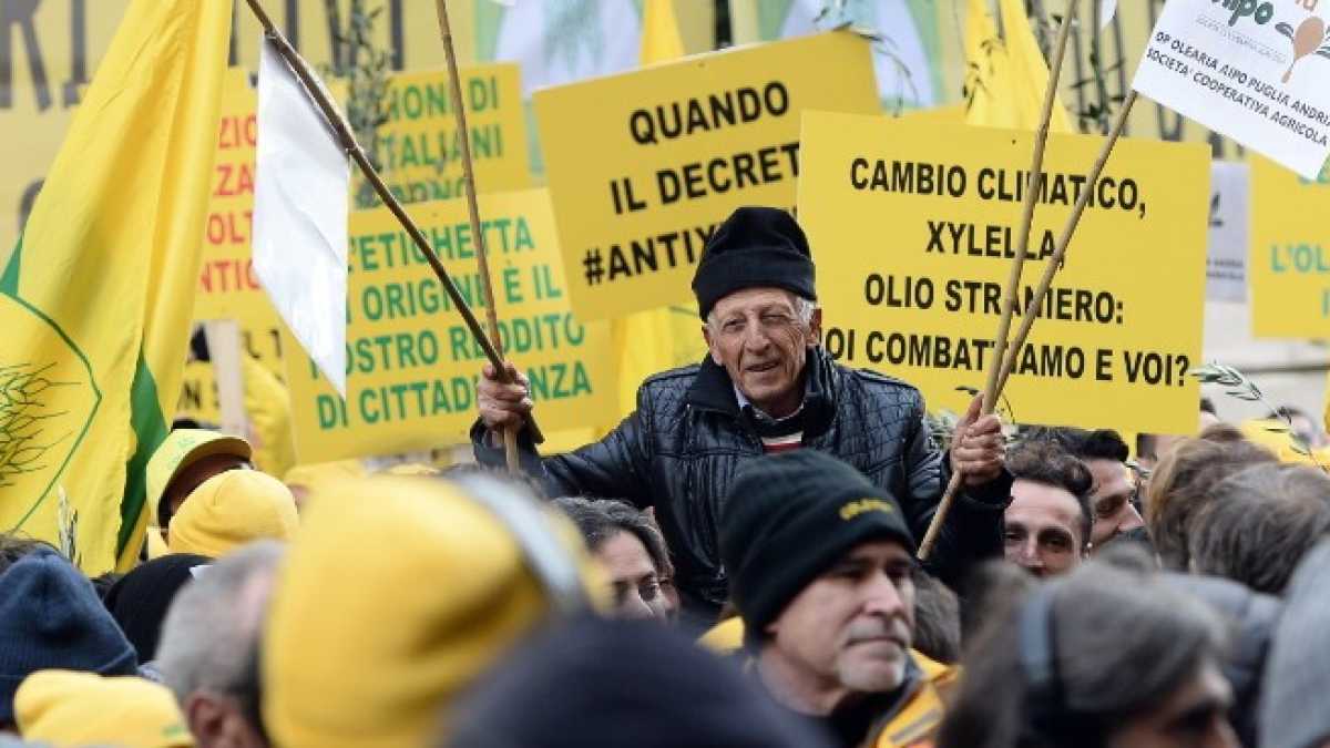 Immagine di Gli impermeabili giallo Coldiretti