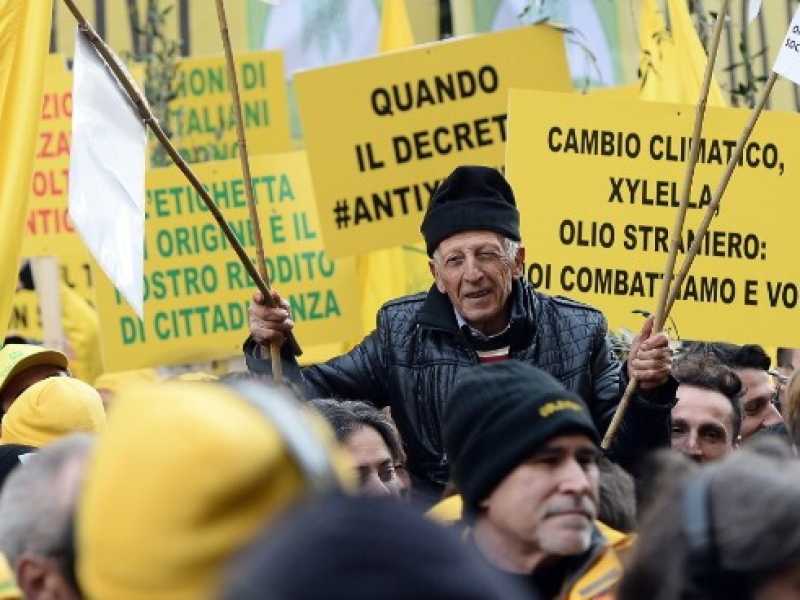 Ministero delle Politiche Agricole. Manifestazione di Coldiretti (foto LaPresse)