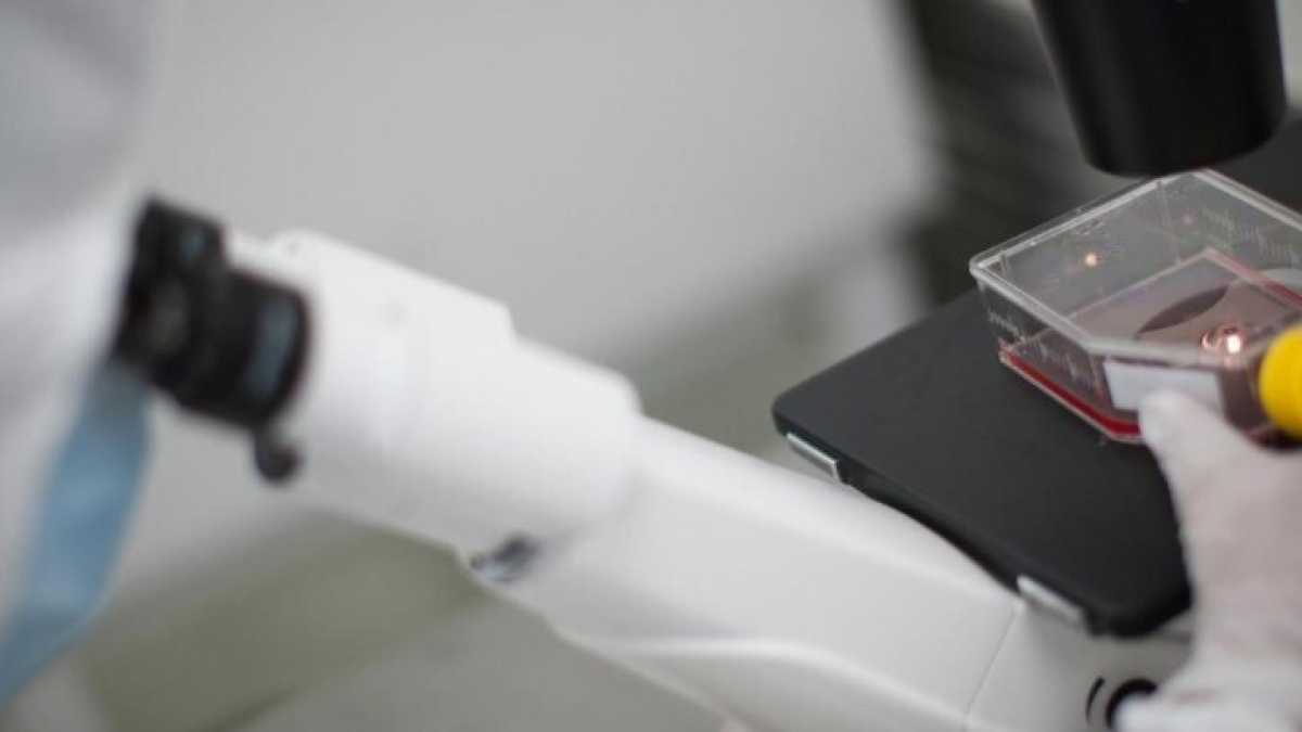 Immagine di Il manifesto scientifico mancante