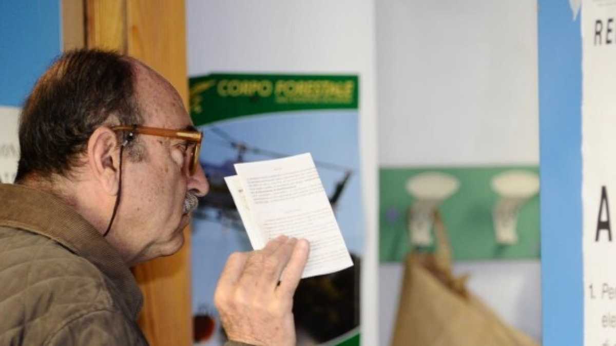 Immagine di W il referendum non omeopatico