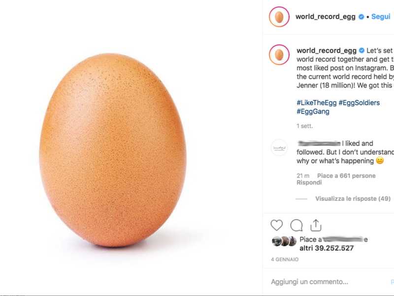 world_record_egg