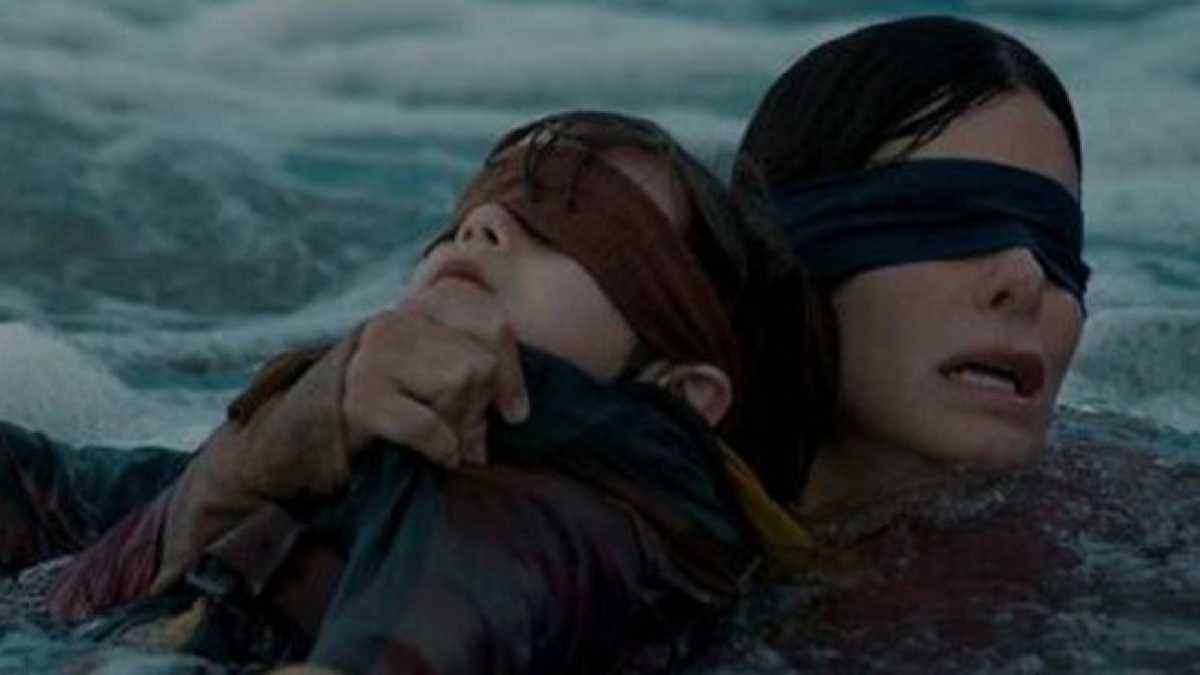 Immagine di Il #birdboxchallenge è la selezione della specie