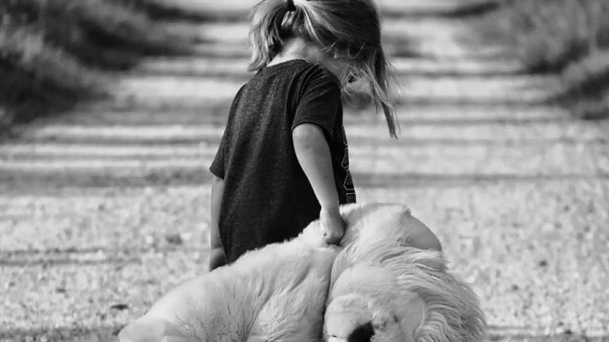 Immagine di I figli infelici dei separati in casa