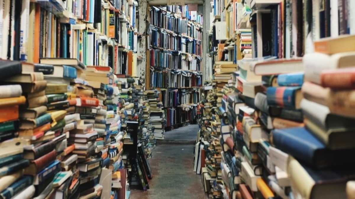 Immagine di La “regola dei 30 libri” secondo alcuni scrittori italiani