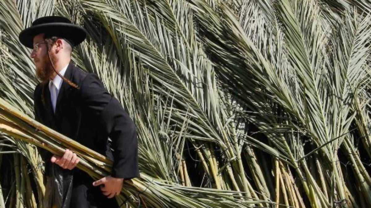 Immagine di Esportare il modello Israele