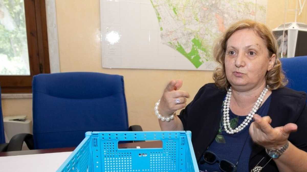 Immagine di Le dimissioni dell'assessore all’Ambiente di Roma e la crisi nel Labour