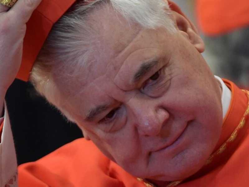 Gerhard Ludwig Müller (foto LaPresse)