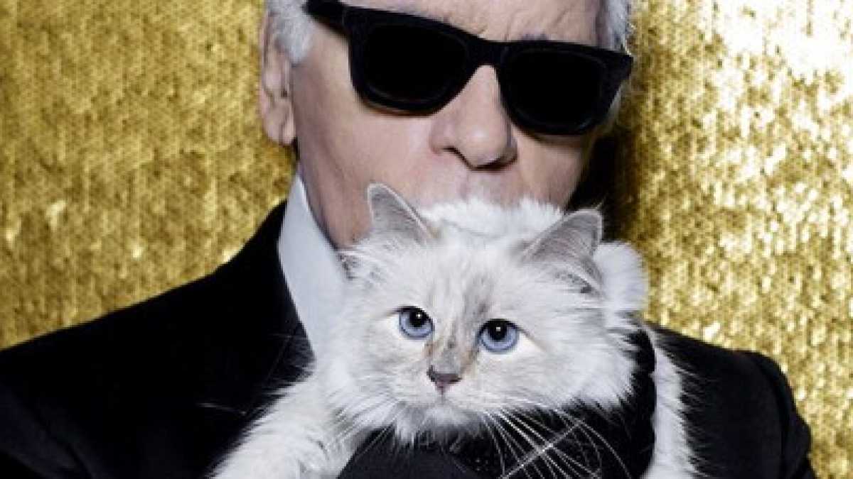 Immagine di La vecchia e ricca gatta di Karl Lagerfeld è emblema di questa Europa