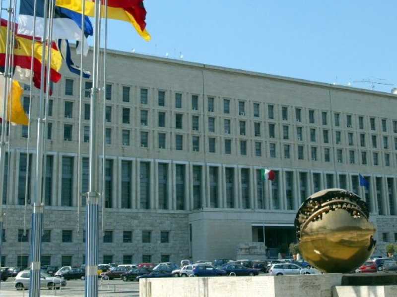La sparizione della figlia del diplomatico nordcoreano: l'"alfanata" di Salvini