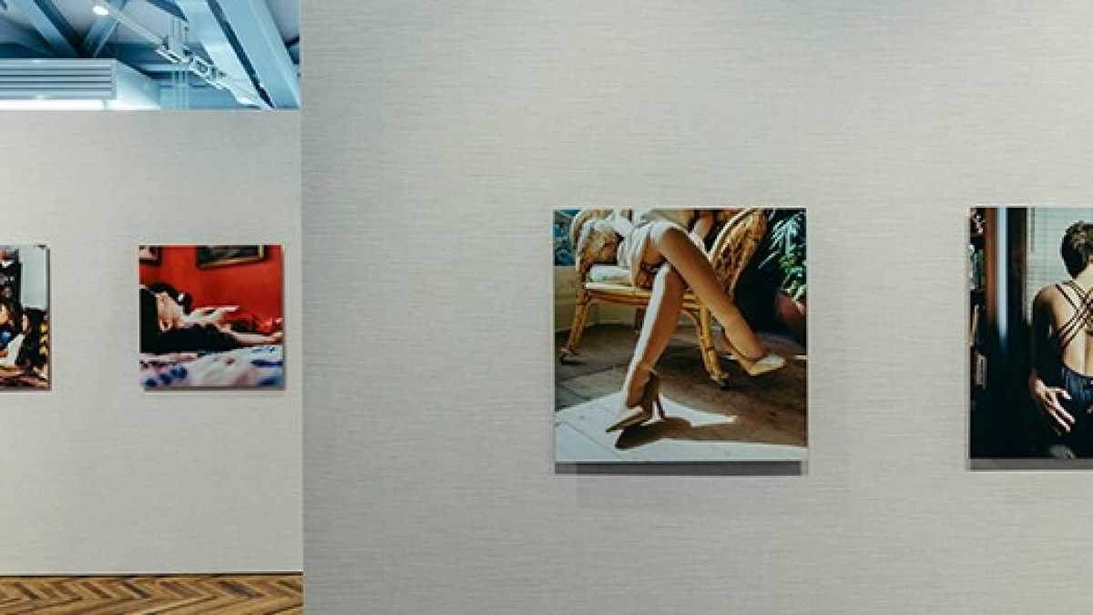 Immagine di Amori sintetici in galleria