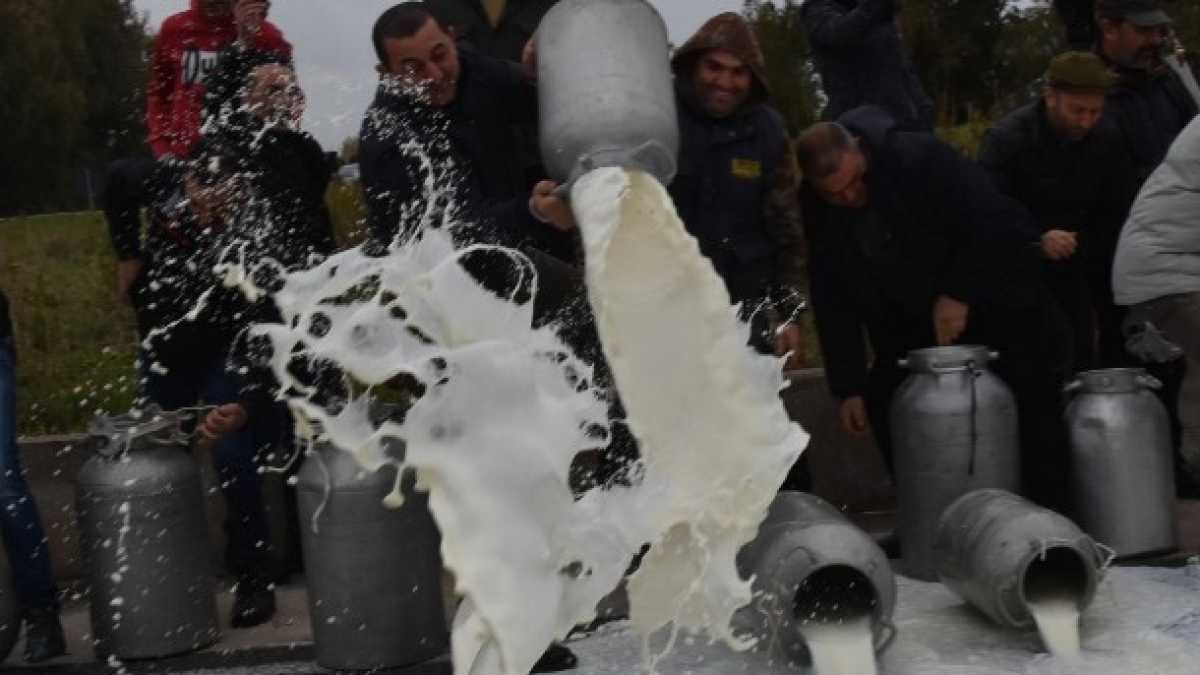 Immagine di Chi piange sul latte versato