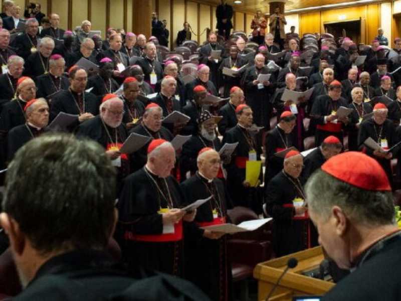 Papa Francesco all'apertura dell'incontro “La protezione dei minori nella chiesa” (foto LaPresse)