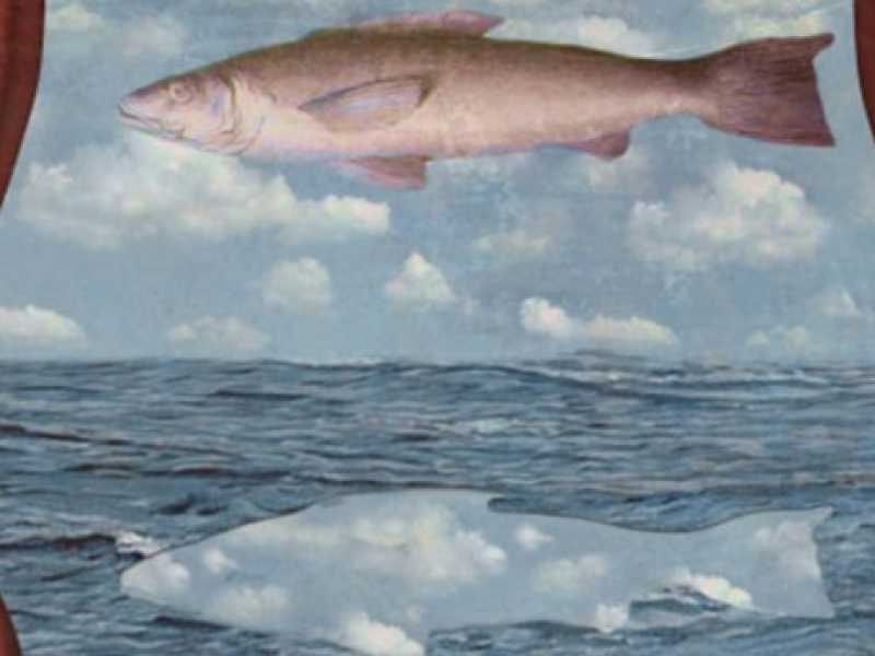 Rene Magritte, Fish out of Water