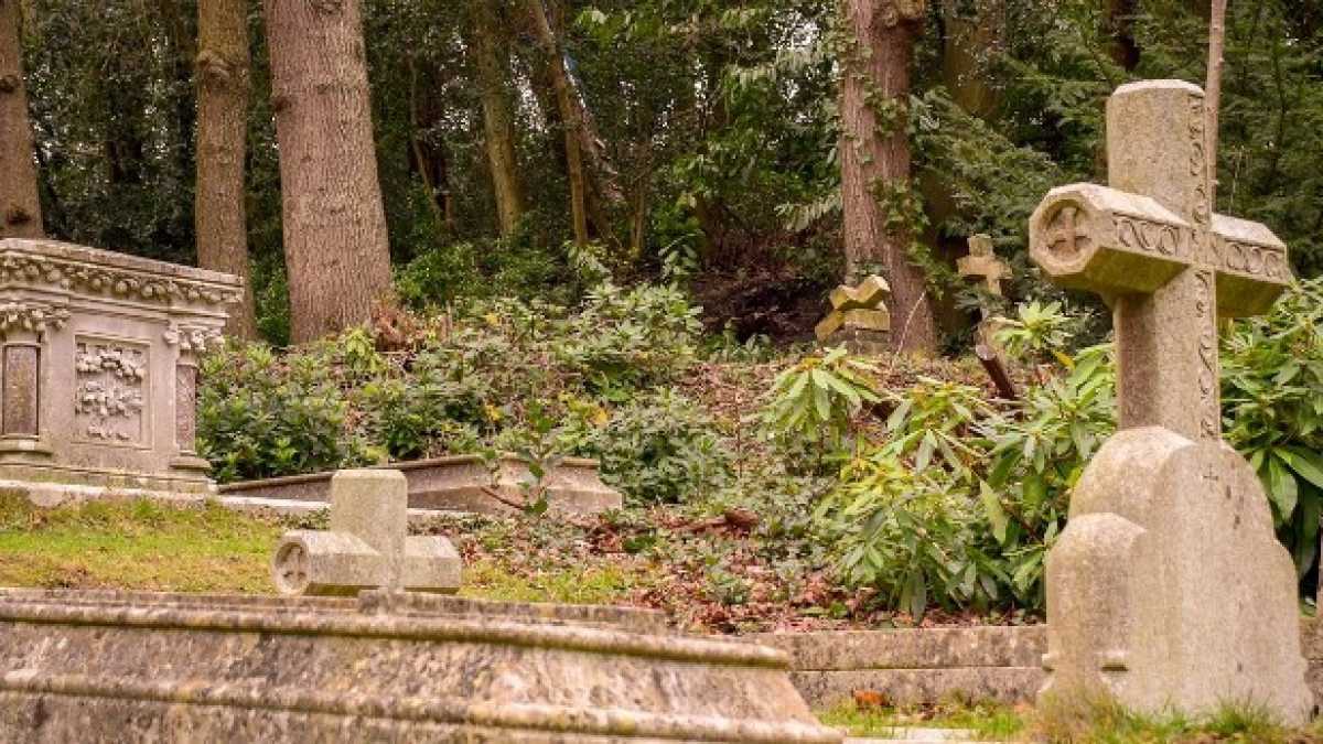 Immagine di Compro libri e cravatte per non pensare alla morte