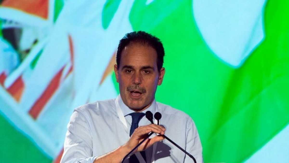 Immagine di “No al Pds. E subito pronti alle elezioni”, ci dice Andrea Marcucci