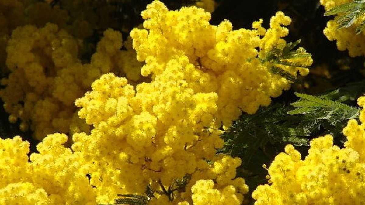 Immagine di Il mio ruolo naturale lo decido io, e così nessuno si farà male