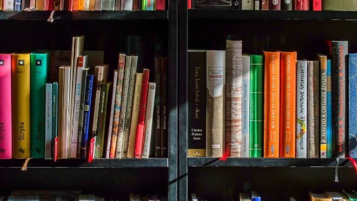 Immagine di Sono uno scrittore giapponese, mangio salmone angosciato, detesto l’autenticità