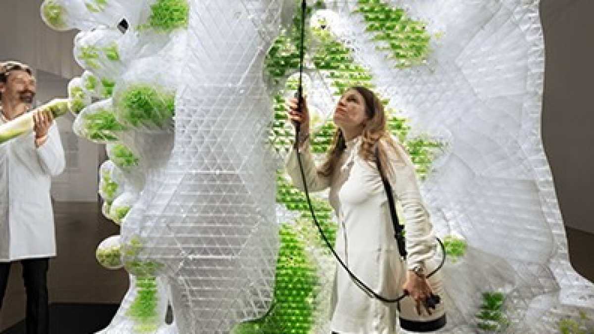 Immagine di Il sex appeal dell’organico