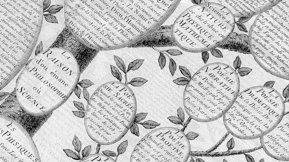 Immagine di Cos'è la libertà secondo Wikipedia