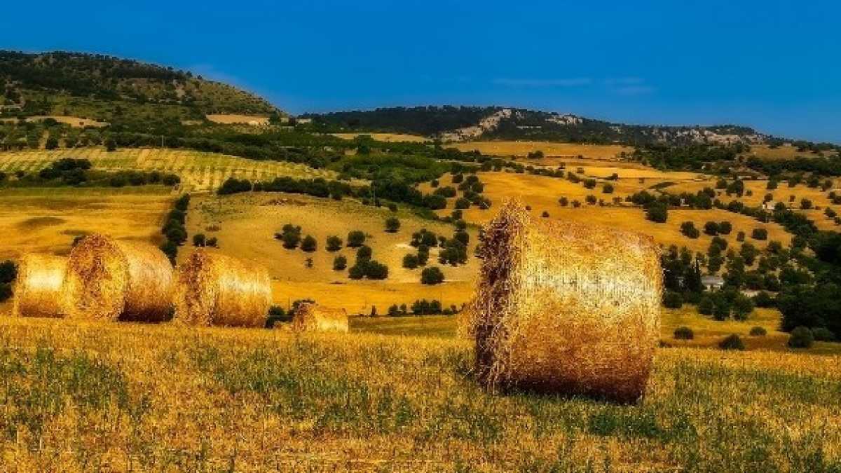 Immagine di L’antimodernismo aristocratico s’è trasformato in pappa populista