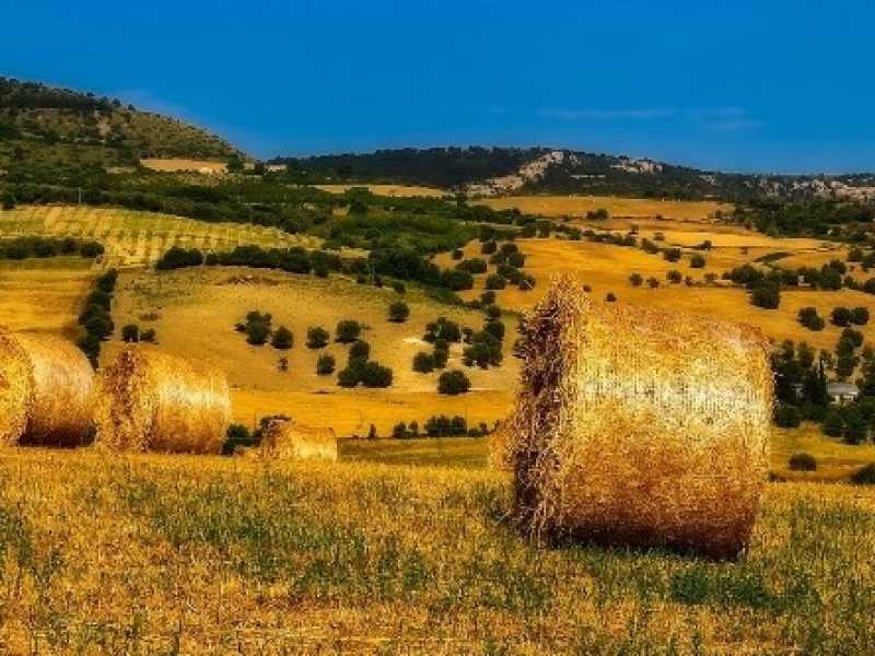 Foto Pixabay