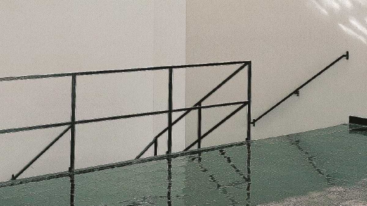 Immagine di Guido Guidi e le sue fotografie