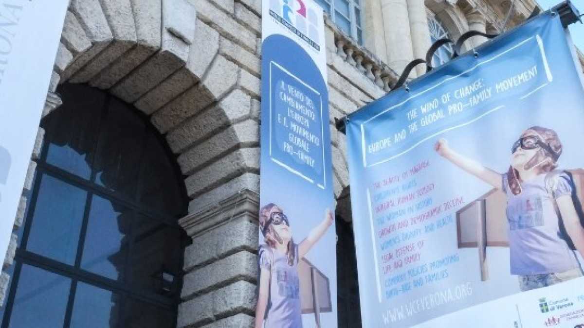 Immagine di Una passeggiata a Verona per capire i danni prodotti da chi parla di famiglia da una curva dello stadio